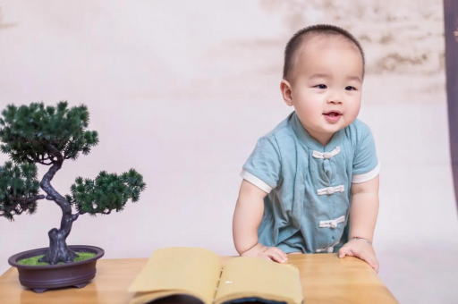 渠县可爱的企鹅宝宝